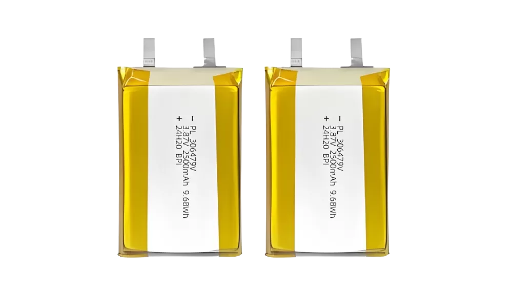 Lithium-Polymer-Batterien für anspruchs volle Anwendungen